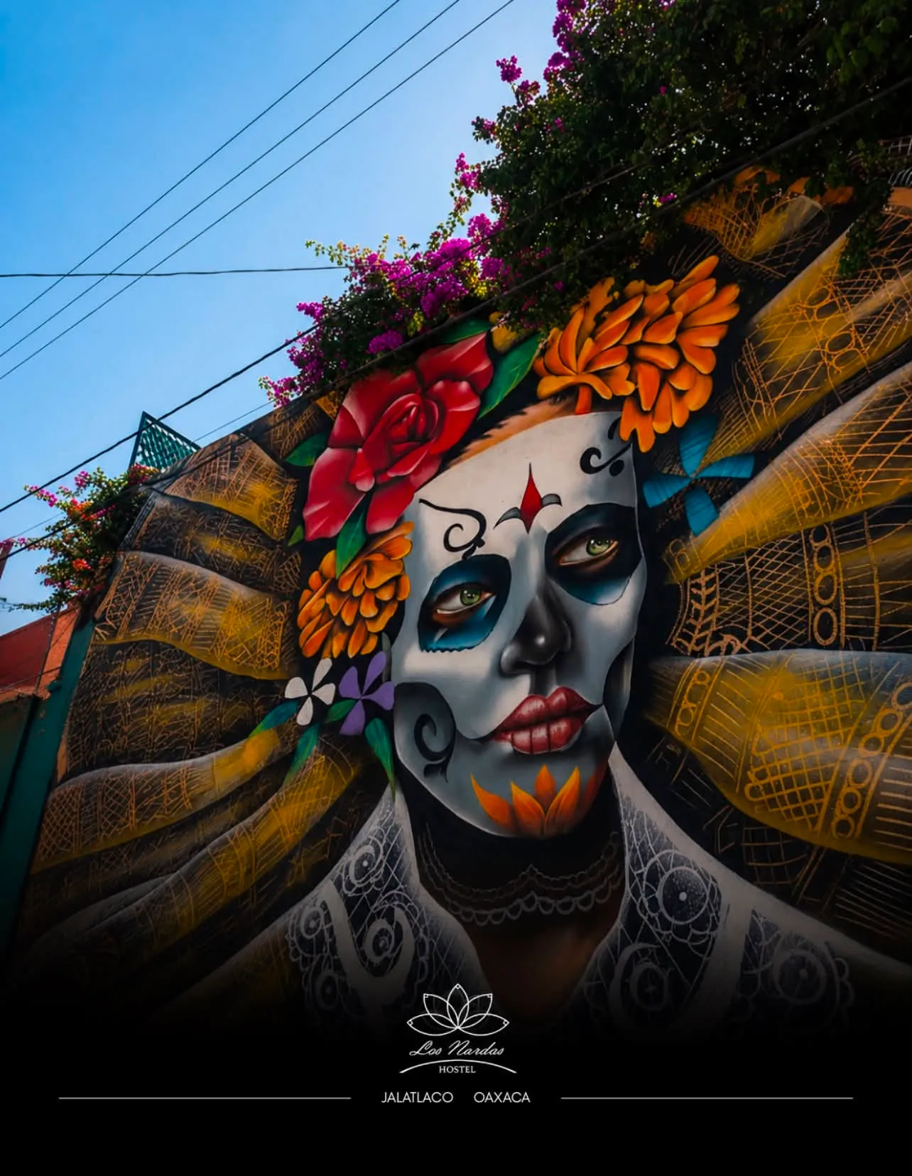 Bougainvillea over the entrance mural